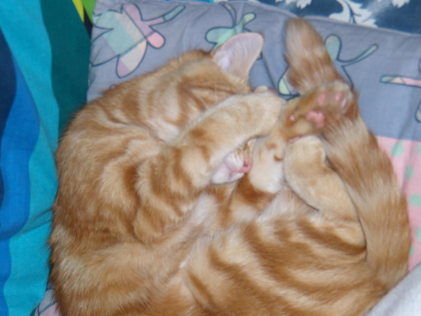 ...ma la volete abbassare ''sta musica?????????